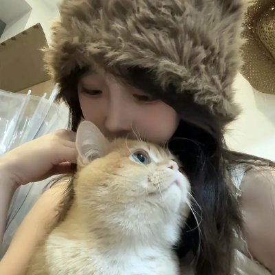 梦墙